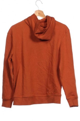 Детски суитшърт C&A, Размер 12-13y/ 158-164 см, Цвят Кафяв, Цена 15,99 лв.