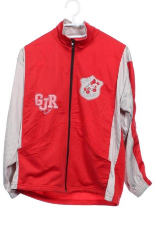 Детски суитшърт Girls, Размер 14-15y/ 168-170 см, Цвят Многоцветен, Цена 11,99 лв.