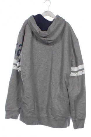 Dziecięca bluza Here+There, Rozmiar 15-18y/ 170-176 cm, Kolor Kolorowy, Cena 39,99 zł