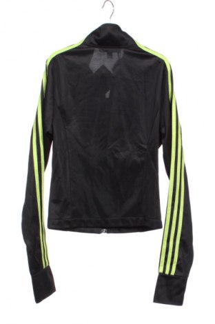 Dziecięca bluza Jaded London, Rozmiar 4-5y/ 110-116 cm, Kolor Kolorowy, Cena 110,99 zł