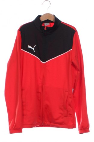 Dziecięca sportowa bluza PUMA, Rozmiar 11-12y/ 152-158 cm, Kolor Czerwony, Cena 77,75 zł