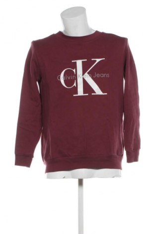 Herren Shirt Calvin Klein Jeans, Größe S, Farbe Lila, Preis 75,99 €