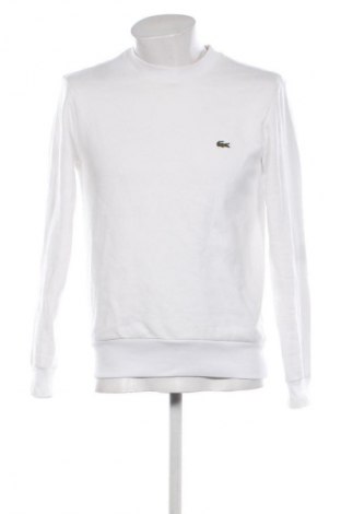 Herren Shirt Lacoste, Größe S, Farbe Weiß, Preis 33,99 €