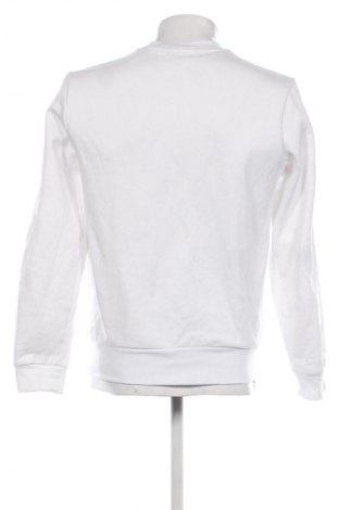 Herren Shirt Lacoste, Größe S, Farbe Weiß, Preis 33,99 €