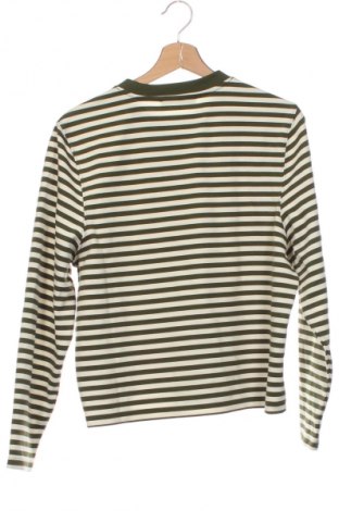 Herren Shirt Mango, Größe XS, Farbe Mehrfarbig, Preis 12,99 €