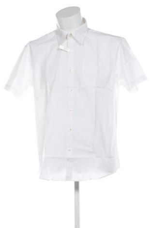 Herrenhemd Avanti, Größe XL, Farbe Weiß, Preis 11,99 €