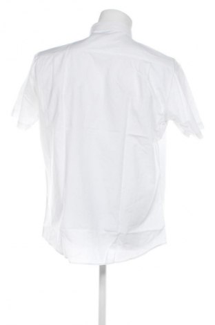 Herrenhemd Avanti, Größe XL, Farbe Weiß, Preis 11,99 €