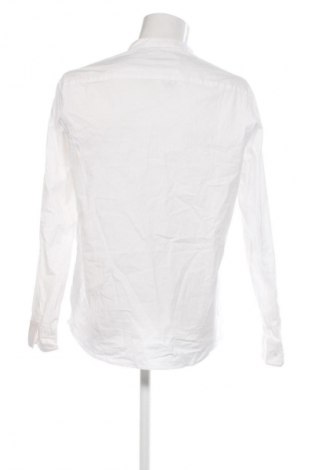 Herrenhemd Calvin Klein, Größe XL, Farbe Weiß, Preis 36,99 €