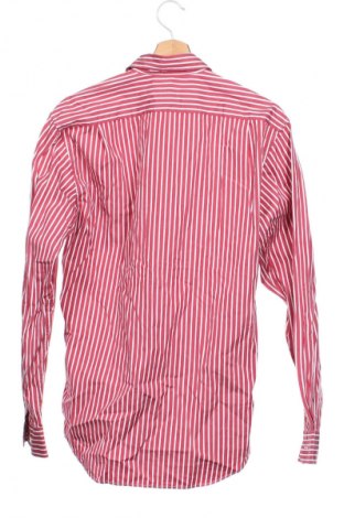 Herrenhemd Lacoste, Größe S, Farbe Mehrfarbig, Preis € 48,99