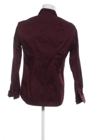 Herrenhemd Tarocash, Größe M, Farbe Rot, Preis 26,99 €