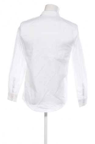 Herrenhemd Zara, Größe M, Farbe Weiß, Preis 21,99 €