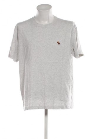 Herren T-Shirt Abercrombie & Fitch, Größe XXL, Farbe Grau, Preis € 18,99