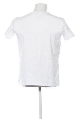 Herren T-Shirt Armani Jeans, Größe XL, Farbe Weiß, Preis € 34,99
