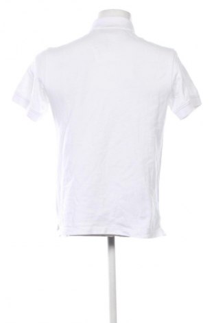 Herren Shirt Belstaff, Größe M, Farbe Weiß, Preis 85,99 €