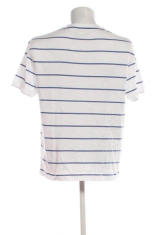 Herren Shirt Calvin Klein, Größe L, Farbe Mehrfarbig, Preis 41,99 €