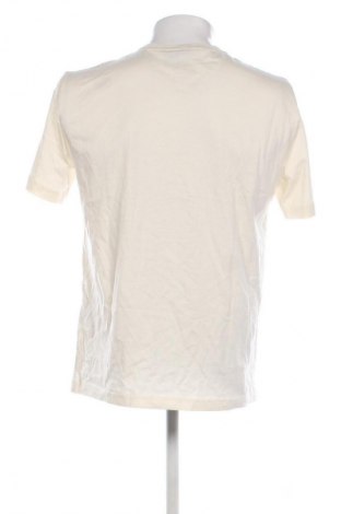 Herren T-Shirt Emporio Armani, Größe L, Farbe Ecru, Preis € 61,99
