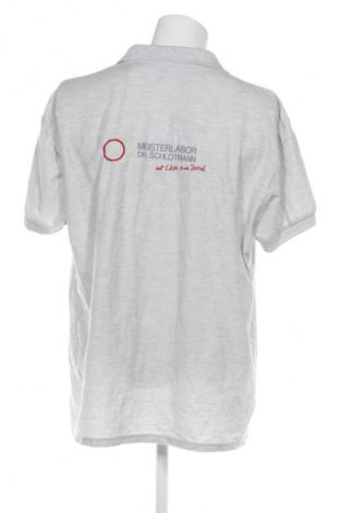 Herren Shirt Fruit Of The Loom, Größe 3XL, Farbe Grau, Preis 13,99 €