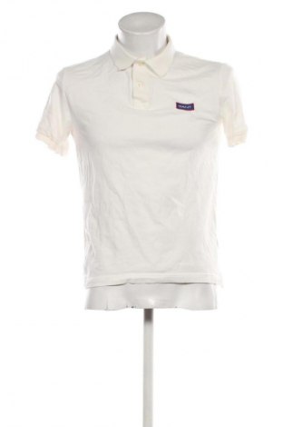 Herren Shirt Gant, Größe S, Farbe Ecru, Preis 60,99 €