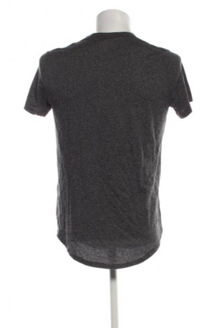 Herren T-Shirt Hollister, Größe M, Farbe Schwarz, Preis € 14,99