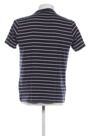 Herren T-Shirt Lerros, Größe M, Farbe Mehrfarbig, Preis € 7,99
