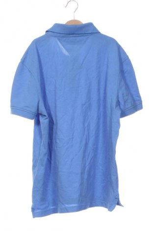 Herren Shirt Tommy Hilfiger, Größe M, Farbe Blau, Preis 45,99 €