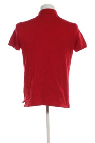 Herren T-Shirt Tommy Hilfiger, Größe L, Farbe Rot, Preis € 36,99