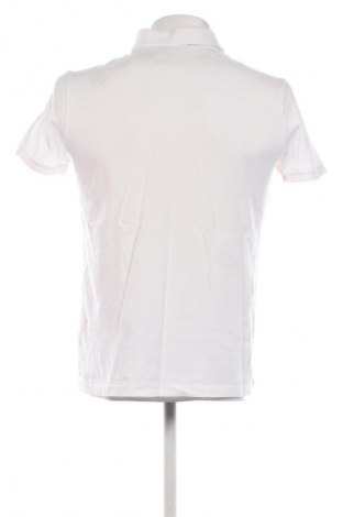 Herren T-Shirt U.S. Polo Assn., Größe L, Farbe Mehrfarbig, Preis € 20,99