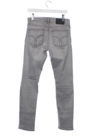 Herren Jeans Calvin Klein, Größe S, Farbe Grau, Preis 26,43 €