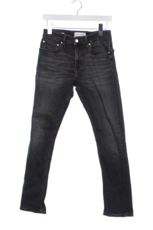 Ανδρικό τζίν Calvin Klein Jeans, Μέγεθος S, Χρώμα Γκρί, Τιμή 50,99 €