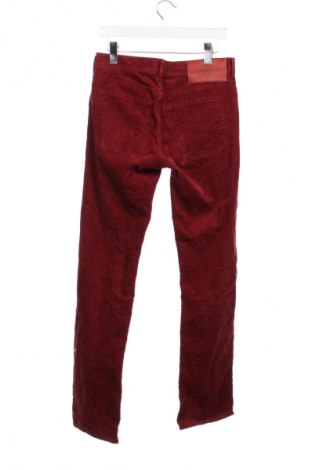 Herren Cordhose Baldessarini, Größe M, Farbe Rot, Preis € 18,99
