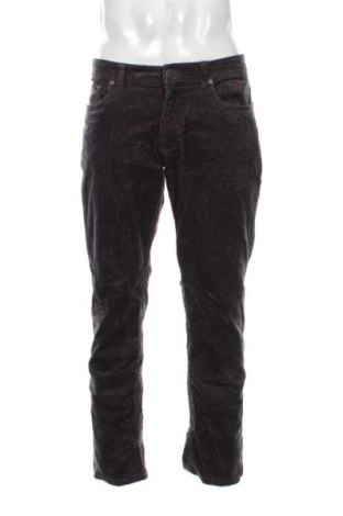 Herren Cordhose Canda, Größe L, Farbe Grau, Preis 10,99 €
