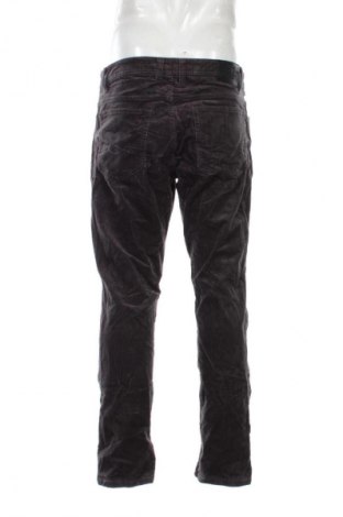 Herren Cordhose Canda, Größe L, Farbe Grau, Preis 10,99 €