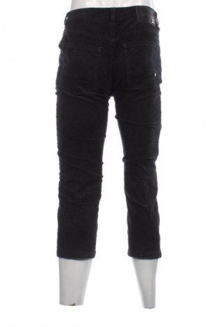 Herren Cordhose DC Shoes, Größe M, Farbe Blau, Preis 13,99 €