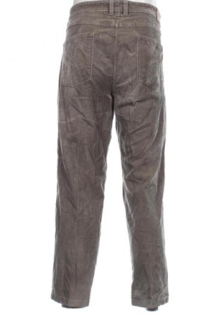 Herren Cordhose Unbranded, Größe XL, Farbe Grau, Preis 13,99 €