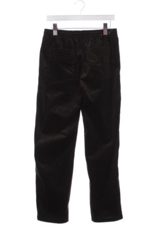 Herren Cordhose Uniqlo, Größe M, Farbe Grün, Preis € 12,99