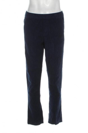 Herren Cordhose Up 2 Fashion, Größe M, Farbe Blau, Preis € 16,99