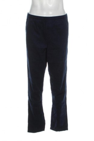 Herren Cordhose Up 2 Fashion, Größe L, Farbe Blau, Preis € 26,99