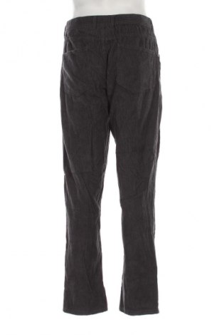 Herren Cordhose Up 2 Fashion, Größe M, Farbe Grau, Preis 19,95 €