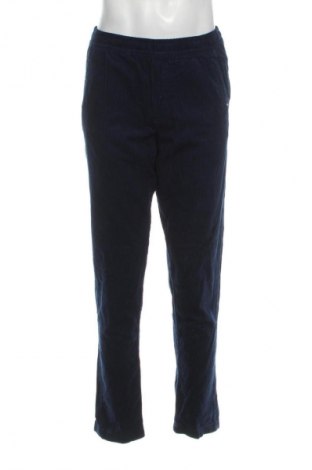 Herren Cordhose Up 2 Fashion, Größe M, Farbe Blau, Preis 16,99 €