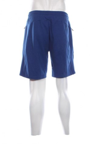 Herren Shorts 4F, Größe L, Farbe Blau, Preis 15,99 €