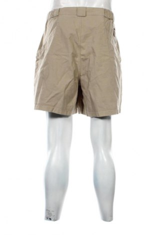Herren Shorts Columbia, Größe XL, Farbe Beige, Preis € 23,99