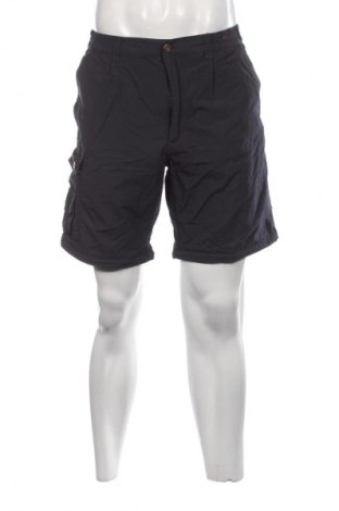 Herren Shorts Fjallraven, Größe L, Farbe Grau, Preis € 40,99