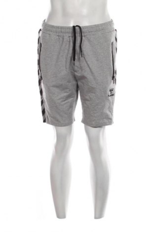 Herren Shorts Hummel, Größe S, Farbe Grau, Preis € 26,99