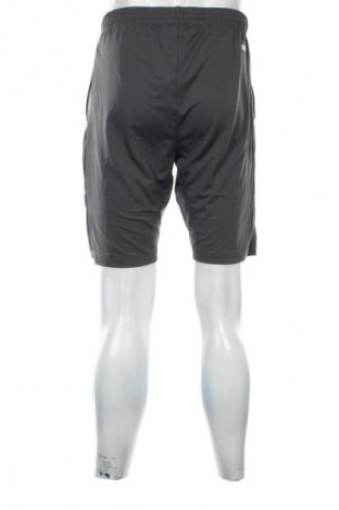 Herren Shorts Jako, Größe L, Farbe Grau, Preis 22,99 €