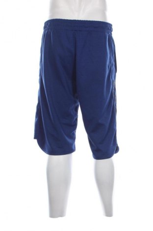 Pánske kraťasy  Nike, Veľkosť L, Farba Viacfarebná, Cena  16,95 €