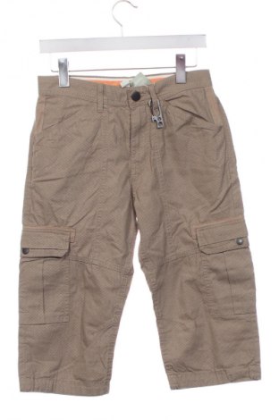 Herren Shorts Tom Tailor, Größe S, Farbe Mehrfarbig, Preis 41,99 €