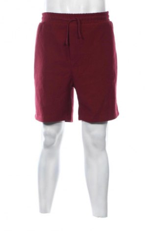 Herren Shorts Zara, Größe XL, Farbe Rot, Preis 9,99 €