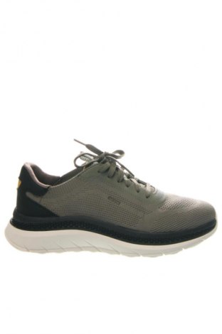 Herrenschuhe Geox, Größe 42, Farbe Grün, Preis 78,99 €