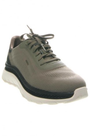 Herrenschuhe Geox, Größe 42, Farbe Grün, Preis 78,99 €