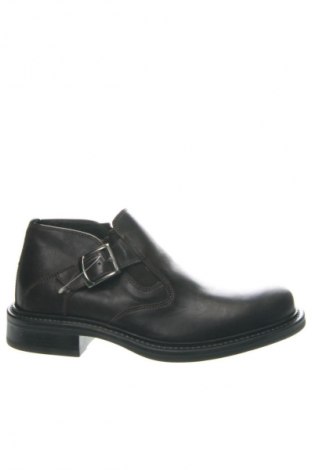 Pánske topánky Steve Madden, Veľkosť 43, Farba Hnedá, Cena  73,43 €